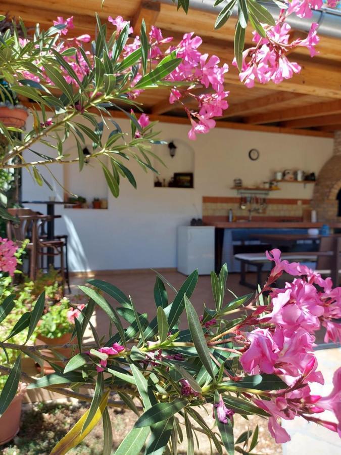 Apartments Skocic Vodice Kültér fotó
